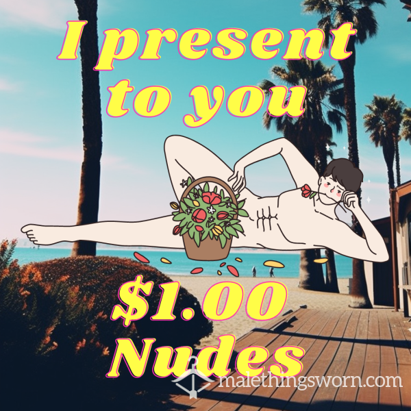 $1 Nudes