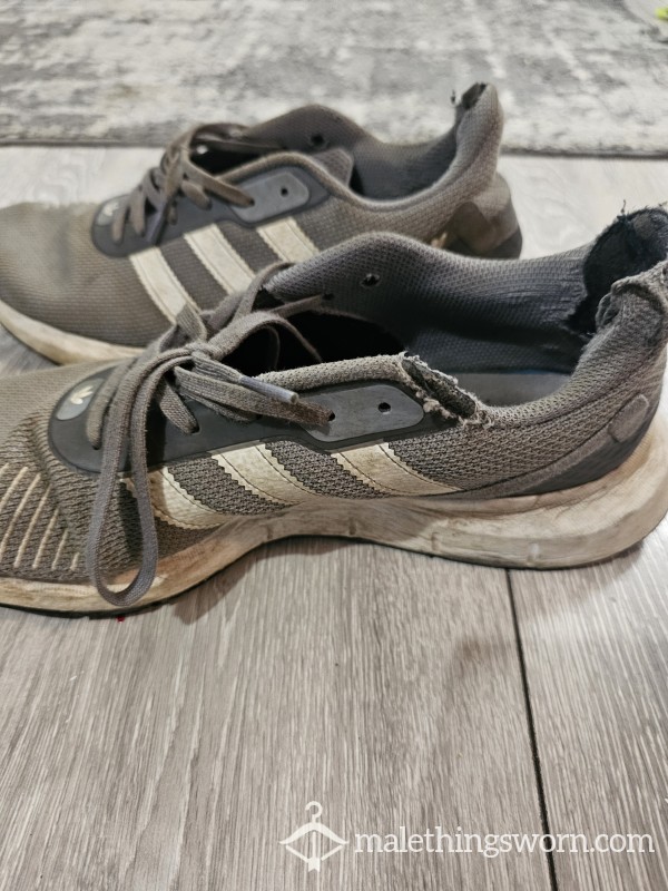 3 Year Old Gym Shoes