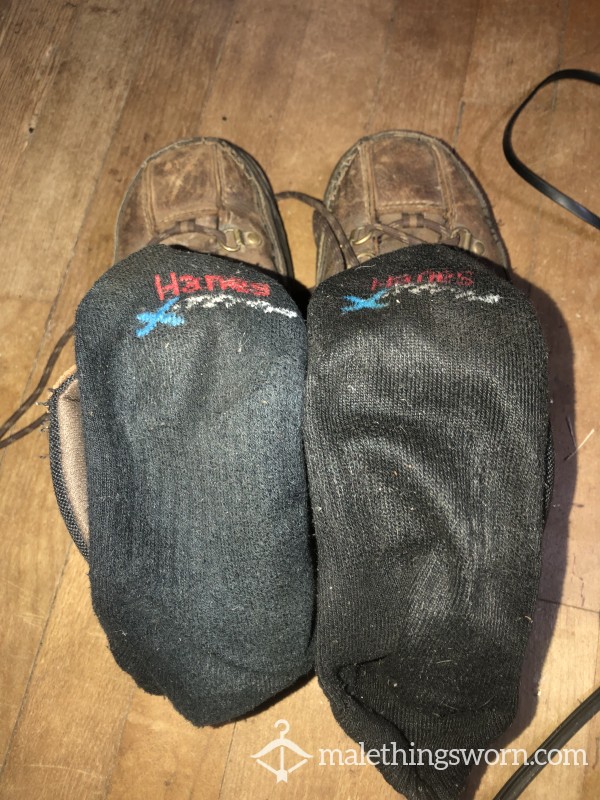 21 Day Worn Work Socks, Extremely Musky And Full Of Sweat