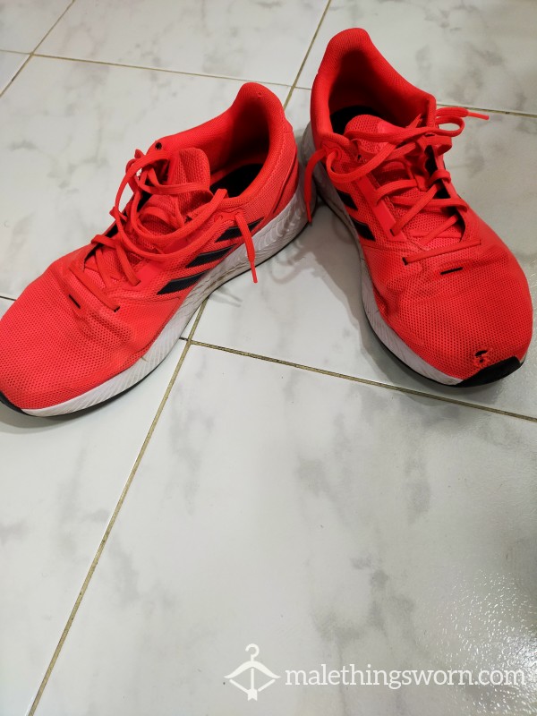 2500km/3 Year Worn Running Shoes