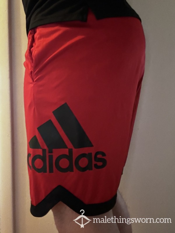 Adidas Workout Shorts