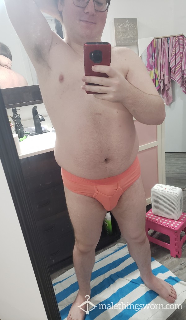 American Eagle Large (L) Pink Briefs