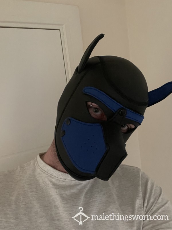 Blue Pup Mask