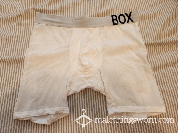 Box Menswear Sheer Boxer Briefs