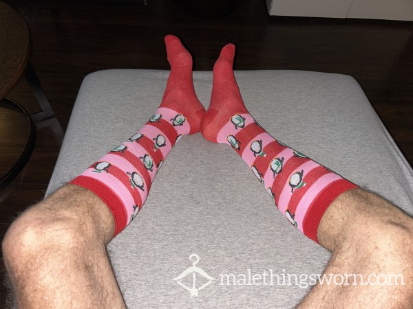 Christmas Penguin Socks