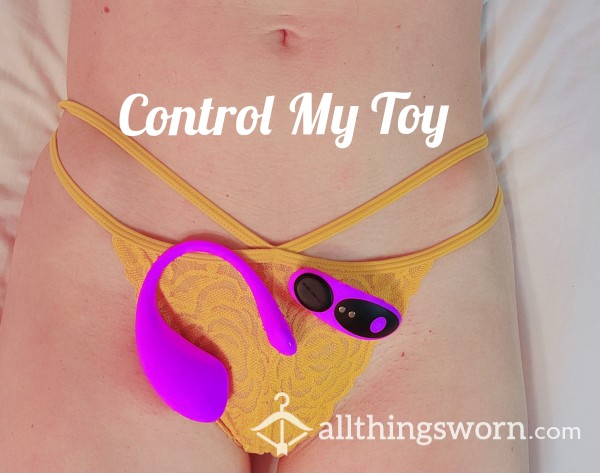 Control My Lovense Toy