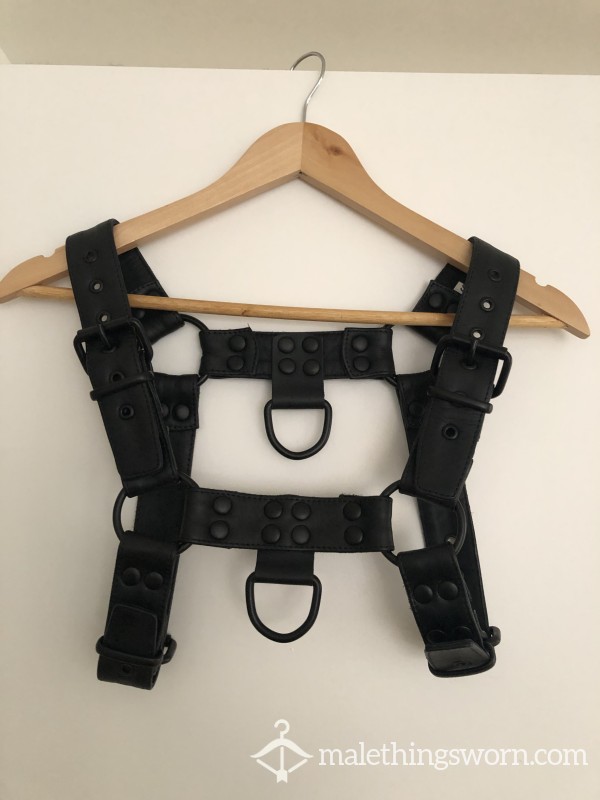 Leather Harness Size Small