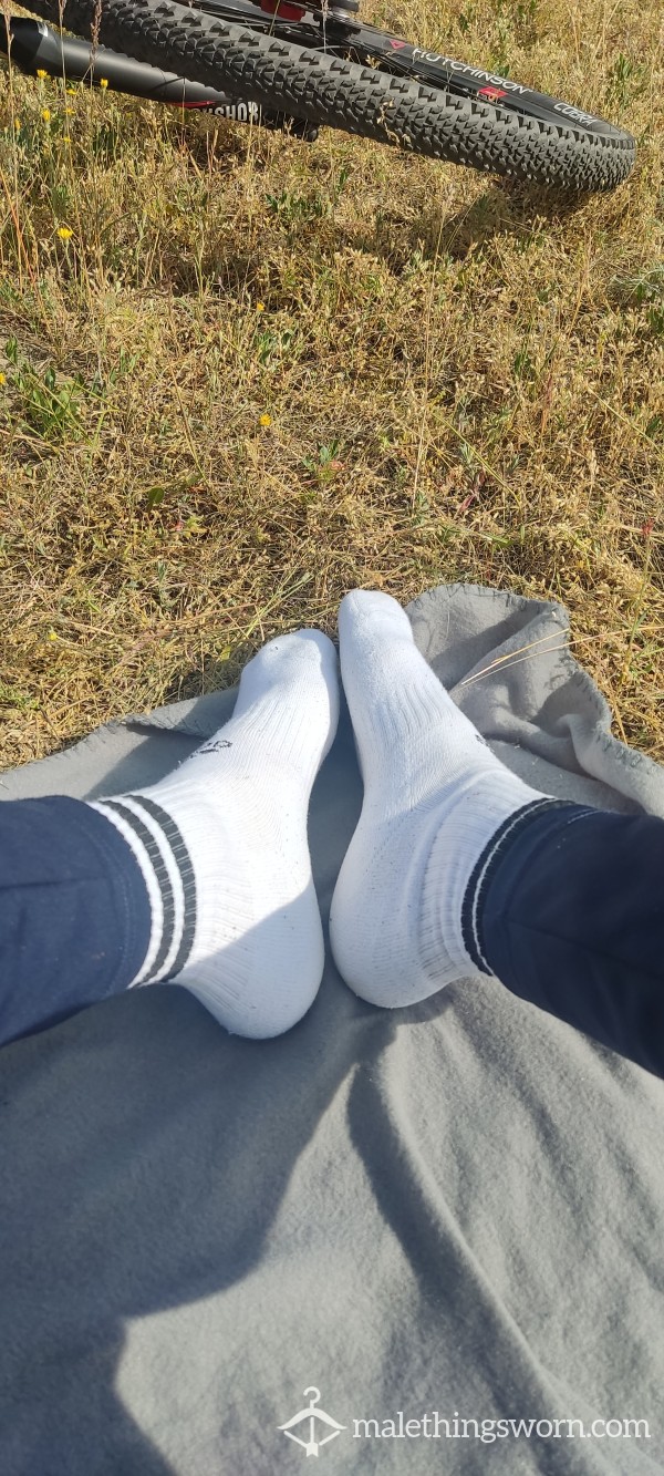My Used Socks.