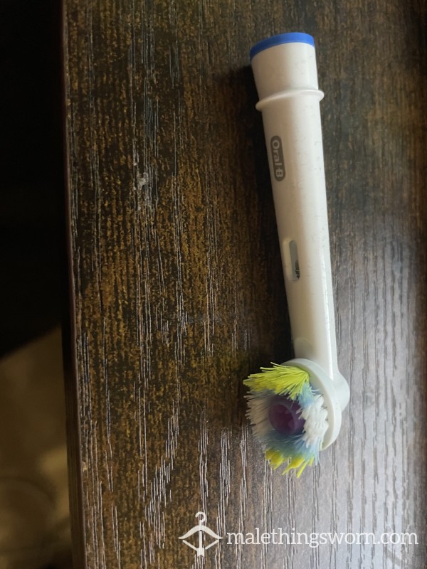 Old Toothbrush Head
