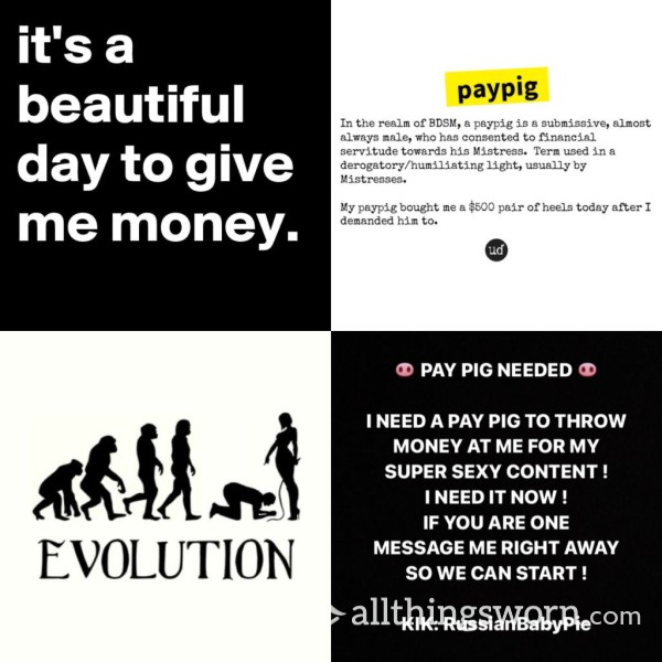 💸 🐽 PAY PIG 🐽 💸