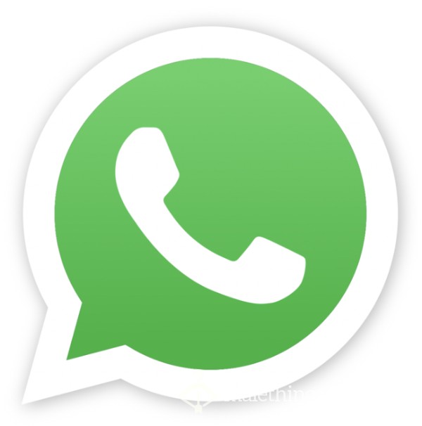 Phone Number/what’s App