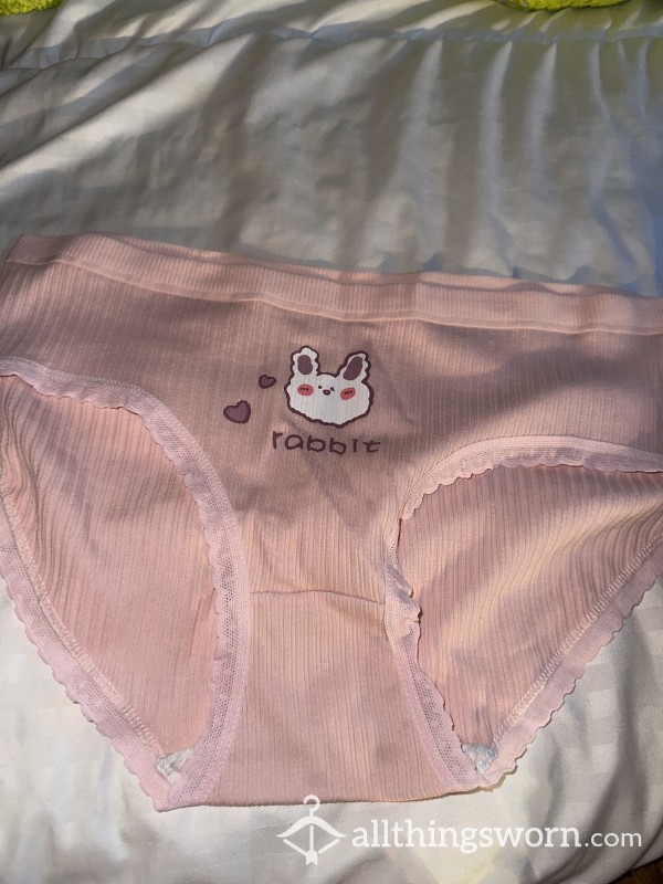 Pink Full Back Knickers