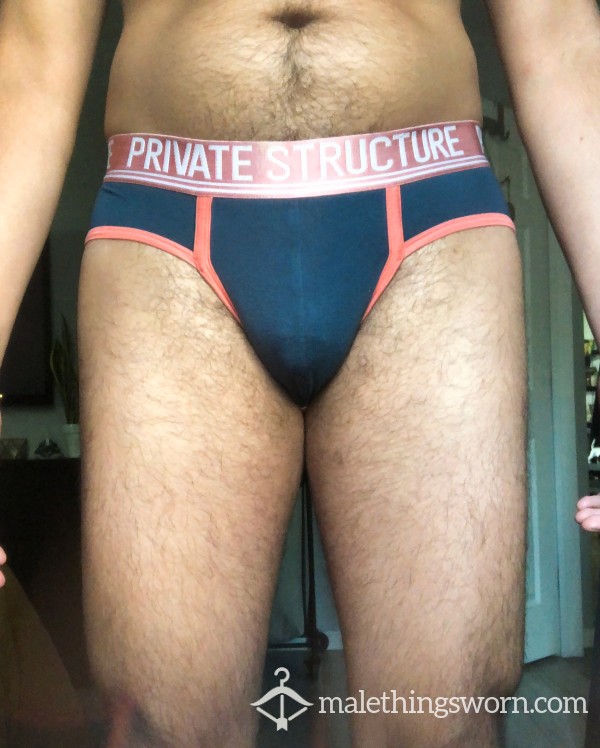 Private Structure Bamboo Briefs (Med)