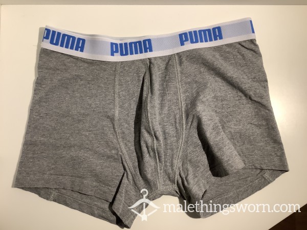 Puma Briefs Grey Size M