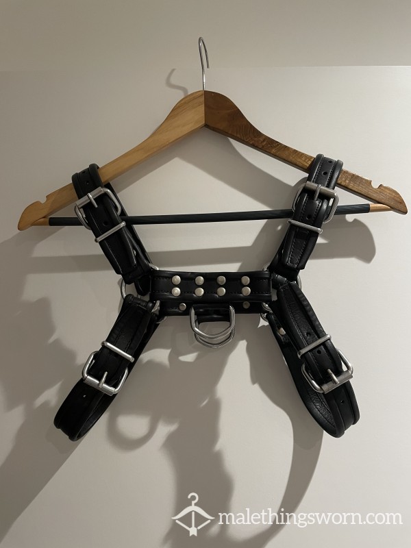 Real Leather Harness Worn To Sweaty Party And A Session :)