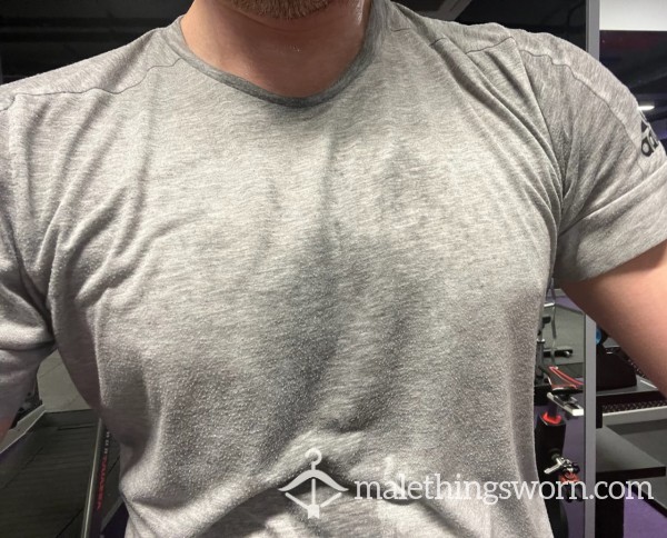 Ripe Alpha Sweat-drenched Grey Muscle Gym Tshirt