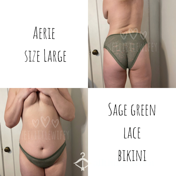 Sage Green Lace Aerie Bikini Panty