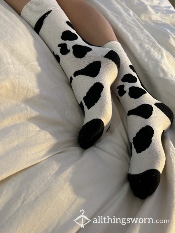 Cow Print Socks 🐄