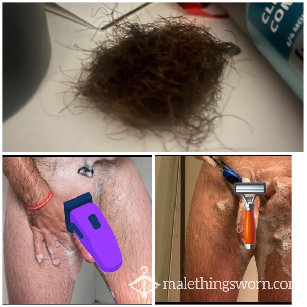 Thick Cum Stained Pubes Straight From The Horses Cock