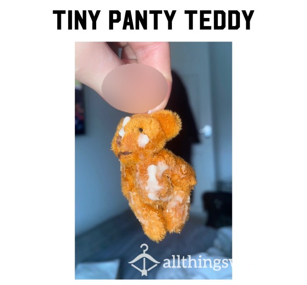 Tiny Panty Teddy🧸