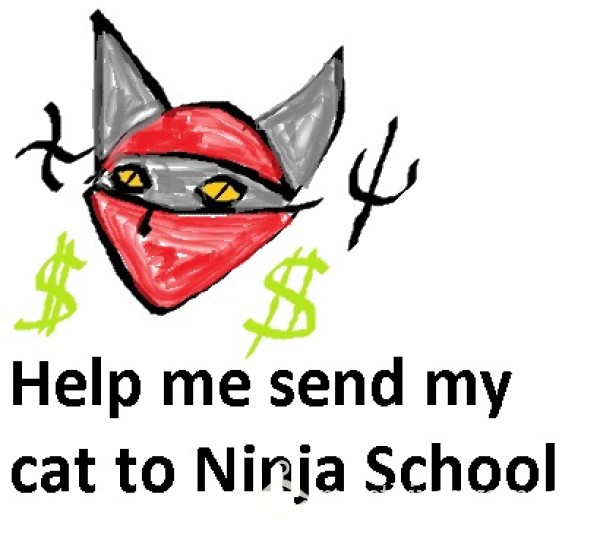 Tip Jar - Help Me Send My Cat To Ninja School