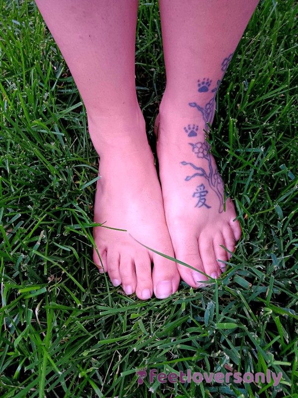 Tiptoe With Me Through The Grass