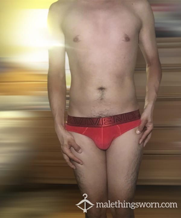 (not Sold In Stores) PREMIUM SOFT QUALITY Red VELVET Briefs ❤️ Modus Vivendi Size Small