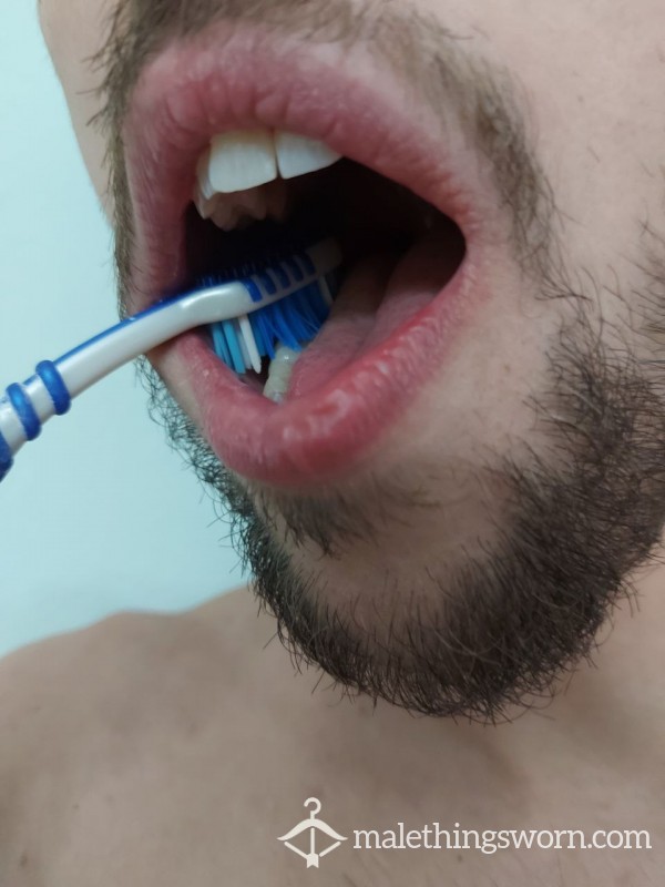 Used Toothbrush Spazzolino Da Denti Usato Tooth Preloved