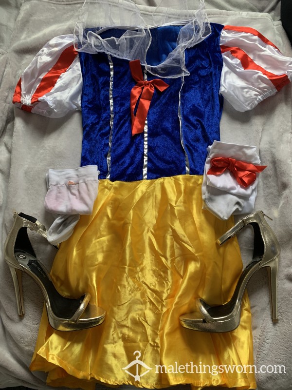 Well Worn Snow White Party Costume