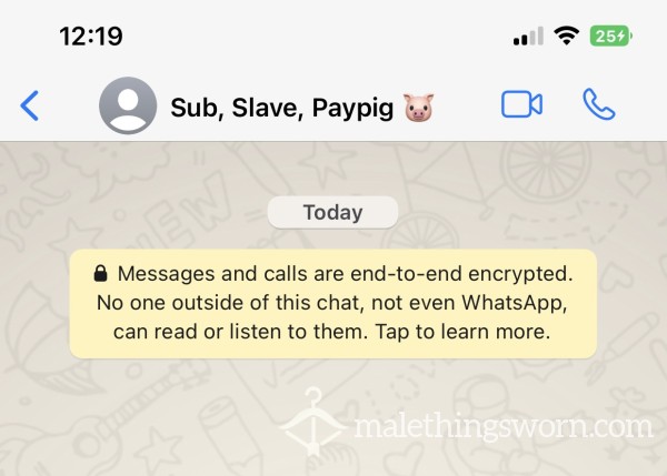 WhatsApp Chats - Domination, Tasks, Worship, Special Friend Experience 90 Days