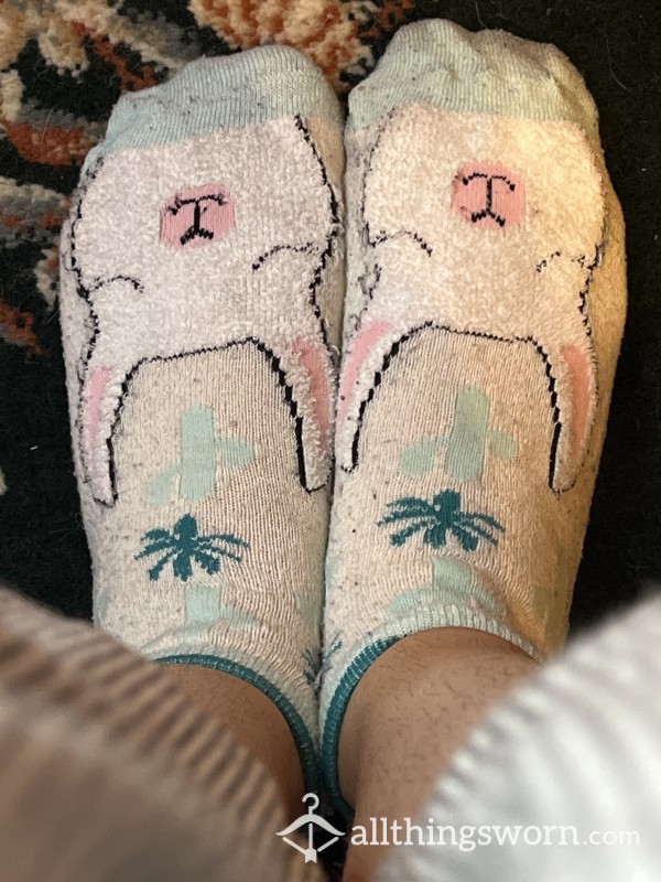 White Ankle Socks With Llamas And Cacti
