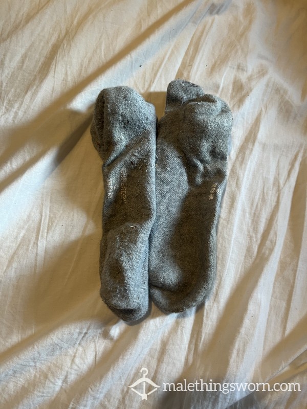 Worm Trainer Socks