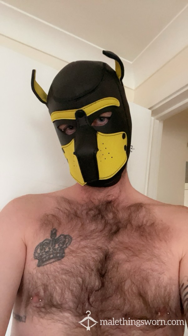 Yellow Pup Mask